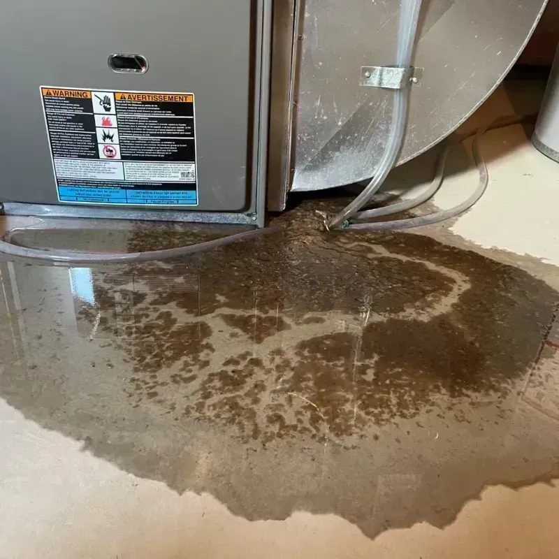 Appliance Leak Cleanup in Floyd County, TX